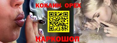 гашик Кимры