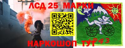 гашик Кимры