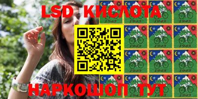 гашик Кимры