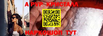 кокс Кингисепп